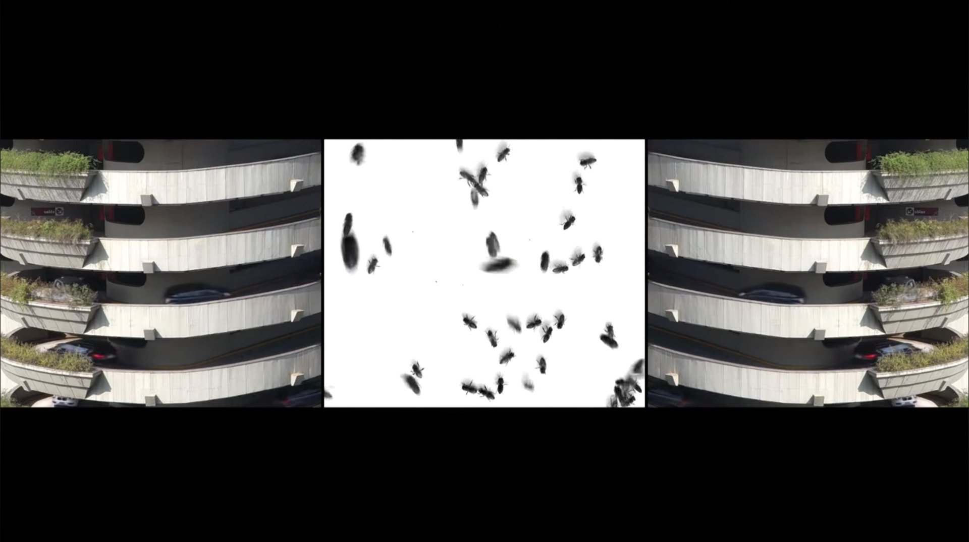 Zona Magn&eacute;tica de Dor &mdash; Bodo Korsig